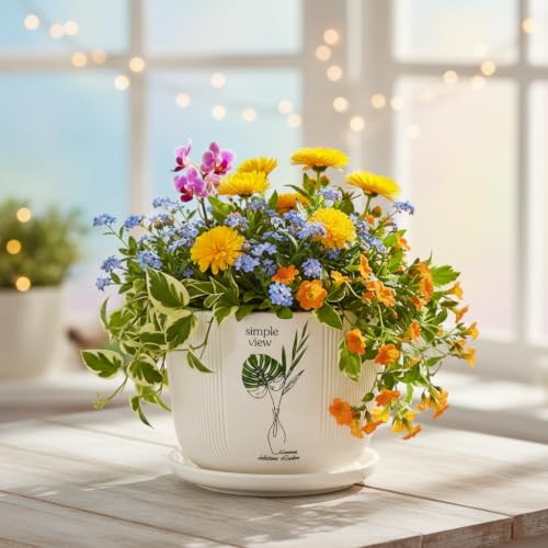 Image of Xtore Botanique Ceramic Planter with Drainage Tray | Ribbed Botanical Print Flower Pot for Balcony, Home, Study Table, Office Desk & Window Decor - (White, 1 Piece, Planter ONLY)