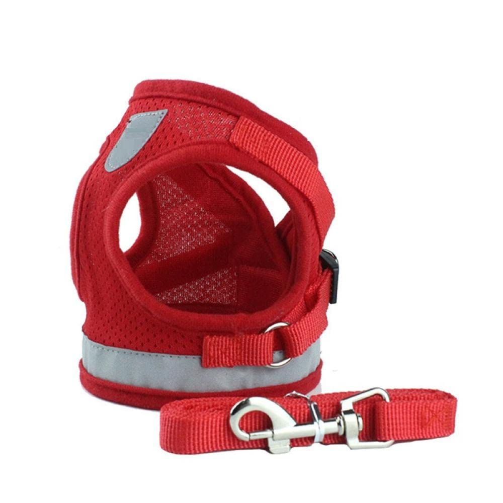 Harnais et Laisse réfléchissants en Nylon Rouge pour Chien et Chat, compatibles avec Les Petits et Moyens Chiens (Taille M) et Les Sacs de Transport pour Chien (Taille L).