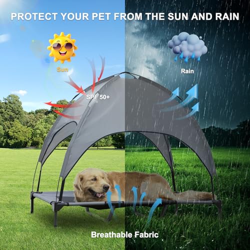 Elevated Dog Bed with Canopy