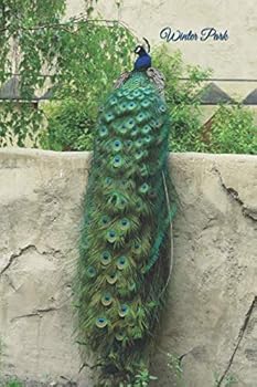 Paperback Winter Park Book