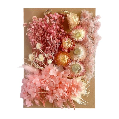 ^phCt[i`hCt[ƗtZbgA[gNtgXNbvubLOWG[쐬NtgԃWG[p