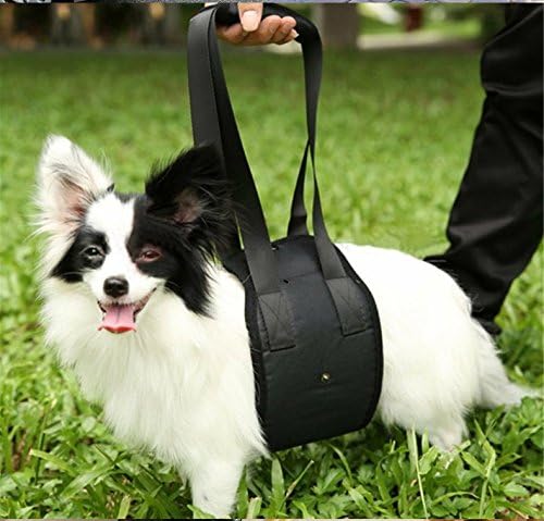Hunde-Hebehilfe, Gehhilfe, Rehabilitation, Bauch, Gliedmaßen, Gürtel für Rettung, Tragen älterer Menschen, schwache Enjury, Behinderung, Erholung von Haustieren (klein, schwarz)