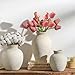 Vanselia Ceramic Flower Vase Home Decor - Farmhouse Table Vases Rustic Vintage Living Room Kitchen Bedroom Decorations for House Book Shelf Office Coffee Desk Dining Fireplace (7.4