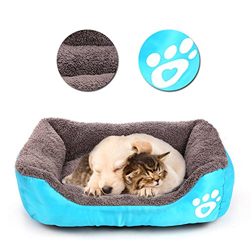 Vandot [A double-face per estate inverno]Animale