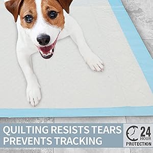   IMMCUTE-Puppy-Pee-Pads-22x23-100-Count-Dog-Pee-Training-Pads-Super-Absorbent-Leak-Proof-Disposable-Pet-Piddle-and-Potty-Pads-for-Puppies-Dogs-Doggie-Cats-Rabbits