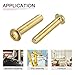 DTGN M4x20mm(DXL) Brass Phillips Machine Screws - 20Pack - Good for Machinery Industry - Pan Head Fastening Screw - Brass Tone