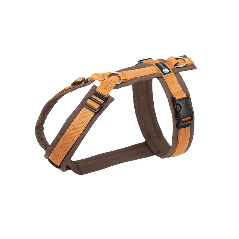 Anny-X Brustgeschirr Fun Braun-Bernstein | Hundegeschirr Größe XXS-Lang (Brustumfang 36-42 cm)