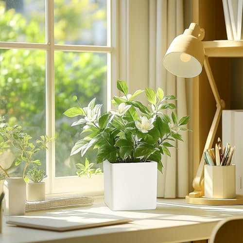 Image of Indian Discovery Self Watering Tabletop Planter| Flower Pots for Home, Terrace, Balcony, Vertical Garden Decor Flower Pots(1 PC, White, Square) |6 Inch UV-Resistant Plastic Plant Pots
