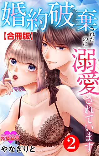 婚約破棄されたのに溺愛されています 合冊版 : 2 (恋愛宣言)