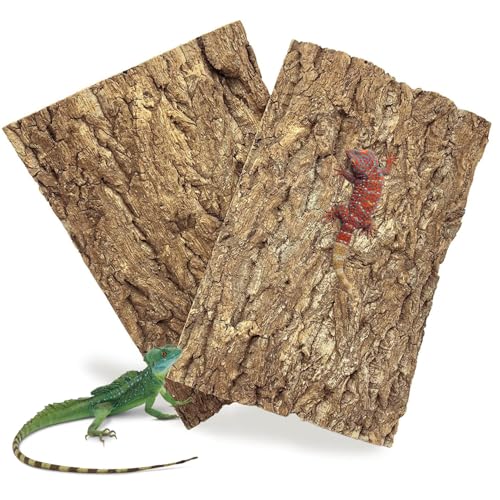 SIXHAOBU 2 Stück Korkrinde Rückwand für Terrarium, 20 x 15 cm Terrarium Korkrinde Hintergrundplatte Natürliche Baumrindenoptik Ideale Kletterfläche für Reptilien Wie Gecko Bartagame und Schildkröte