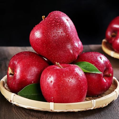 semillas de manzano-Cultivo de semillas,columnares. en maceta resistentes y resistentes a las frutas en columna.80pcs