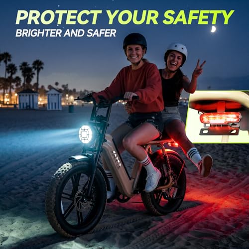 Image of TS TST GRP LLC Electric Bike for Adults, 20 inch x4.0 Fat Tire Retro E Bike