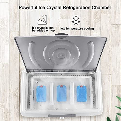 Raffreddatore d'aria evaporativo, umidificatore e aria condizionata 3 in 1, grande serbatoio d'acqua da 55 litri, raffreddamento efficiente con motore potente