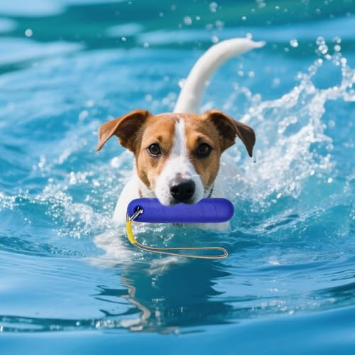 Hundespielzeug, Wasserspielzeug Hund, 22CM Schwimmspielzeug Hunde, Interaktives Hundespielzeug, Hunde Spielzeug Schwimmend mit Nylon Rope für Mittelgroße Große Hunde Trainieren Apportieren im Wasser