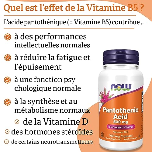 Now Foods, Pantothenic Acid (Acide Pantothénique), 500 mg, 100 Gélules végétaliennes, Testé en Laboratoire, Vitamine B5, Fortement Dosé, Sans Gluten, Sans Soja, Végétarien – Image 5