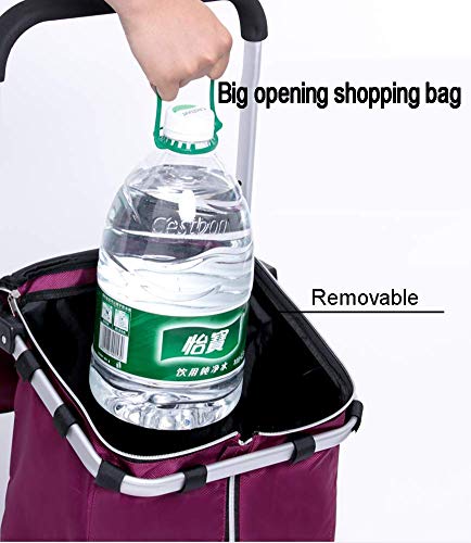 Einkaufstrolley Faltbarer Einkaufstrolley auf Rädern mit Abnehmbarer Tasche und faltbarem Design Max. Tragfähigkeit 30… – Bild 5