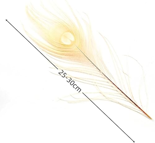 Miniatura 3 de Genérico 1012inch pluma de pavo real para Boda Mesa Centerpiece 10unidades Blanco
