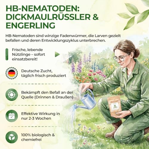 GREEN GUARDIA Power HB-Nematoden gegen Dickmaulrüssler & Engerlinge - 200 Mio. (400m²) -biologische Schädlingsbekämpfung, umweltfreundlich… – Ansicht 5