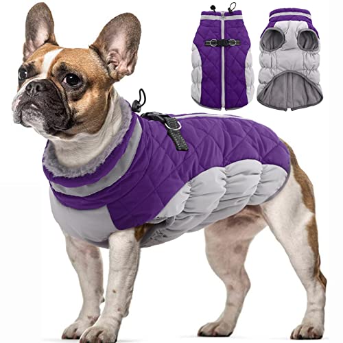 Top 10 Best Winter Jacket For Dog Reviews & Buying Guide Katynel