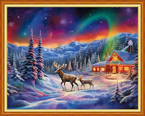 Image of Dimxvean Stamped Cross Stitch Kits,Cross Stitch Kits for Adults Beginners,Embroidery Kits Full Range of Cross Stitch Stamped Kits Needlepoint Kits Cross Stitch Patterns-Aurora Elk 16x20 inch