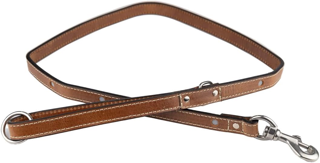 Personalized Leather Reflective Dog Leash - Custom Engraving - Handcrafted - Full Grain Leather (Vegetable Tanned) - Stainless Steel Hardware - Honey, Medium (4 ft)