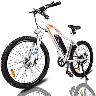 ECOTRIC Mountain EBike Electric Bicycle Bike 26" Alloy Frame with 500W Powerful Motor