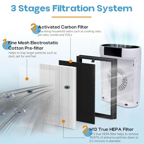Filtre de qualité supérieure AP2000WF avec charbon actif haute densité
