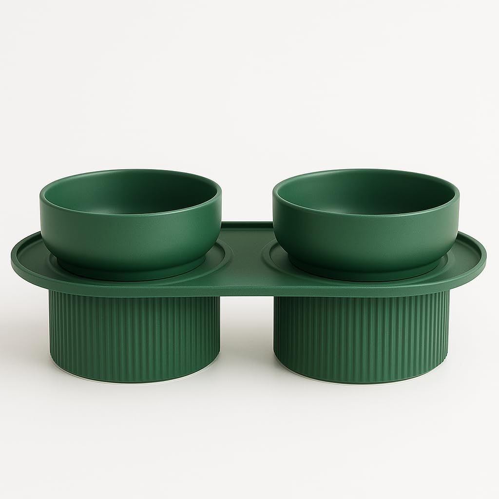 Elevated Pet Bowls Set, Modern Style Ceramic Food and Water Dishes with Raised Stand (Green)