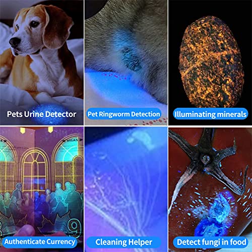 YZYOE 365 nm Black Light Flashlight Powerful Rechargeable,Fluorescent Agent Detection Lamp, Jade, Jewelry, Paper Money - Image 2