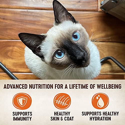 Wellness Core Tiny Tasters Wet Cat Food, Complete & Balanced Natural Pet Food, Made With Real Meat, 1.75-Ounce Pouch, 12 Pack (Adult Cat, Land Variety Pack) #TOP2