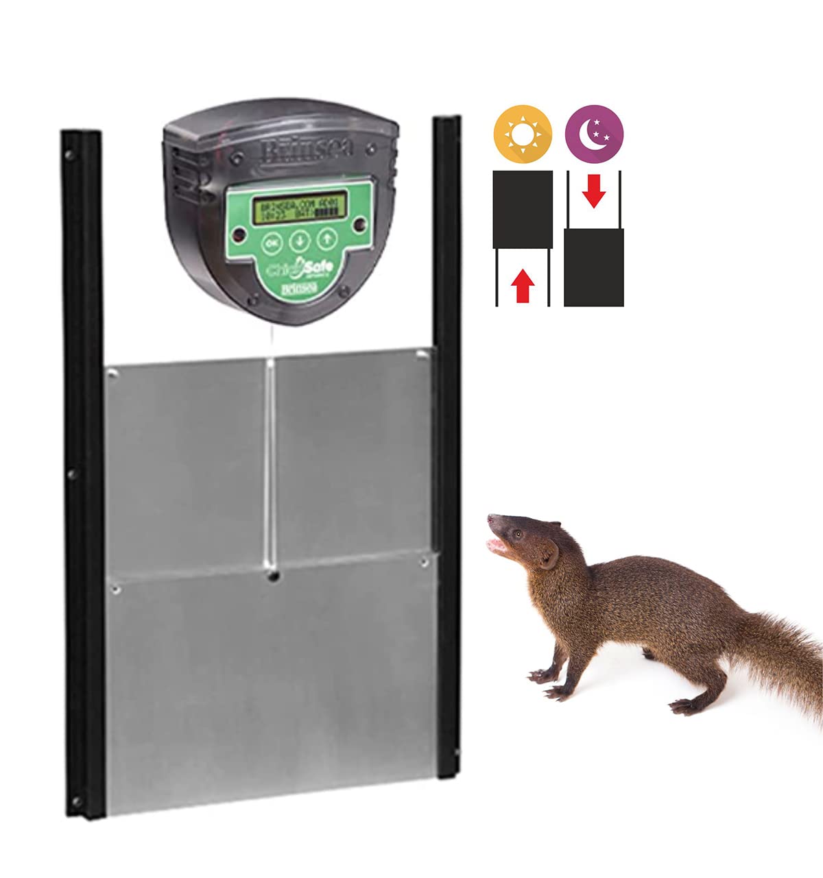 Kit Puerta automática de gallinero - Motor Brinsea Chicksafe Advance + Puerta de Aluminio - Programación por Reloj o por célula fotoeléctrica (Ref. BCSAP)