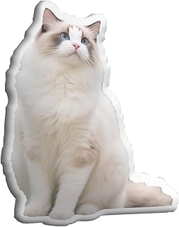 Personalisiertes Kissen Mit Foto, 3D Haustier Hund Katze Bedrucken Lassen Mit Gesicht mit Foto, Lustige Fotogeschenke, Personalisierte Geschenke für Jahrestag, Geburtstag, Valentinstag