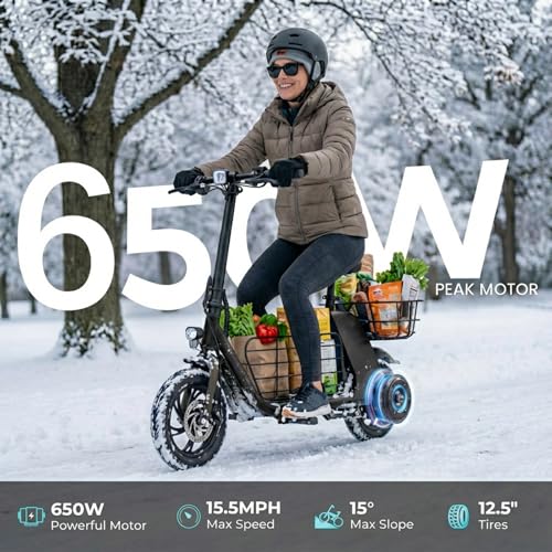 Electric Cargo Scooter Utility Design
