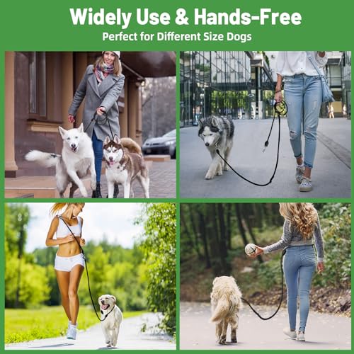 CROSHER Hundeleine 3m, Verstellbare Doppelleine für Ggroße und Mittelgroße Hunde mit 2 Karabiner Hochwertige Premium robust Leine Hund (3M)