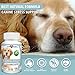 Calming Chews for Dogs - 120 Chewable Tablets - with Hemp, Chamomile, and L-Tryptophan for Anxiety Relief, Separation Stress, Noise, Thunder and Barking