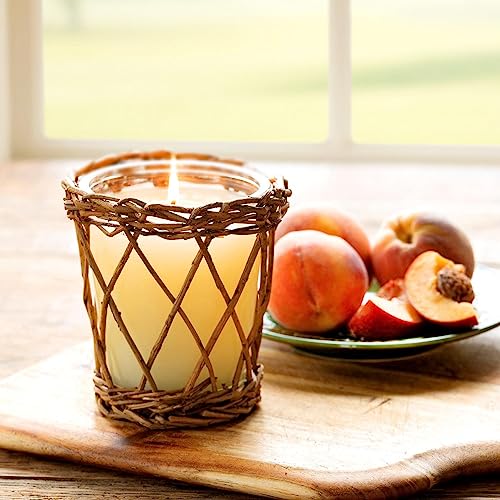 Park Hill Collection Enp10015 Willow Scented Candle, 4-Inch Height (Peach Orchard) #TOP1