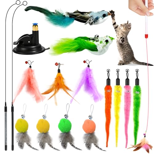 HBYMYDA Katzenangel Set 12-teilig - Interaktives Spielzeug Mit Federn