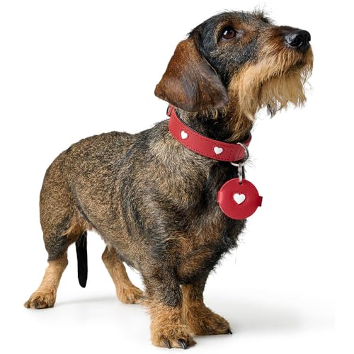 HUNTER Anhänger Hundemarken-Etui Love Farbe braun, Größe S