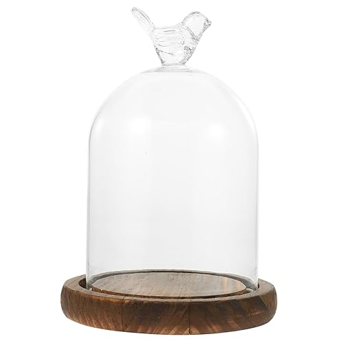 Tarro de campana de cristal Cloche cubierta de pastel de vidrio con base de madera, vitrina decorativa de mesa para plantas, flores, suculentas,