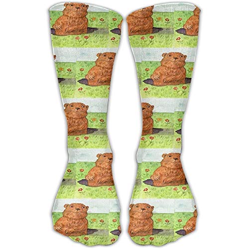 Wiseflexwia 48�̉����t�H�[���{�[�h�A�Չ��T�E���h�E�F�b�W�Չ��p�b�h�A�X�^�W�I�V��Q�[�����[���p�A2.5X30X30cm