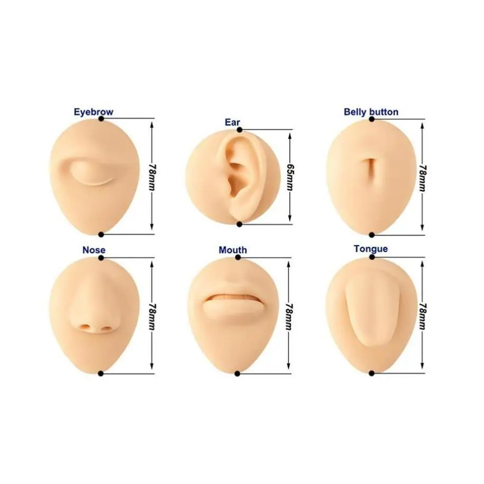 Symulacja Praktyki Nakłuwania Silikonowy Ucho, Nos, Warga, Pępek, Piercing Brwi Model Z Akrylowym Stojakiem(Right Ear)