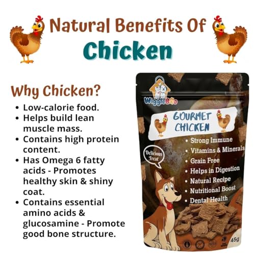 Image of Gourmet Chicken Dog Treat - Irresistible Flavor Fusion for a Healthy Pet, The Perfect Snack to Satisfy Your Dog's Cravings, A Burst of Gourmet Chicken Flavor to Delight Your Dog (45g)