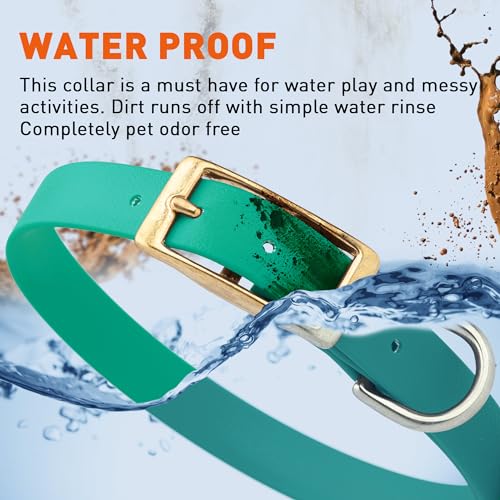 Image of Viper Biothane Heavy Duty Waterproof Dog Collar Strong Coated Nylon Webbing w /Solid Brass Hardware Odor-Proof Easy to Clean High Performance Fits Small Medium or Large Dogs, Teal
