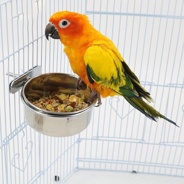 Parrot Stainless Steel Food Bowl with Dual Screws, Bird Feeder for Cage, Clamp Holder for Birdcage Coop, Bird Water Bowl, Suitable for Parakeets, Cockatiels, and Small Animals, M