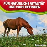 Eggersmann Mein Pferdefutter Profi Knoblauch Plus 1 kg – Ergänzungsfuttermittel für Pferde – Gegen Fliegen, Bremsen & Stechmücken – Unterstützt den Stoffwechsel & die Immunabwehr