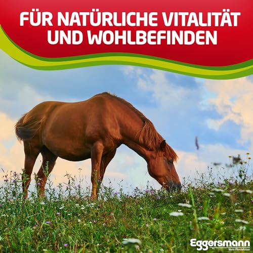 Eggersmann Mein Pferdefutter Profi Knoblauch Plus 1 kg – Ergänzungsfuttermittel für Pferde – Gegen Fliegen, Bremsen & Stechmücken – Unterstützt den Stoffwechsel & die Immunabwehr