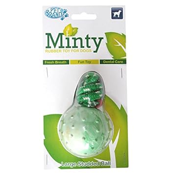 Pet Brands Large Minty Fresh Rubber Ball