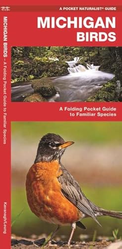 Michigan Birds: A Folding Pocket Guide To Familiar Species (Wildlife And Nature Identification) #TOP6