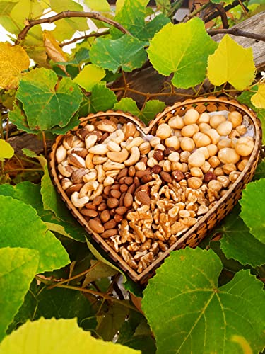 Mix De Castanhas Macadâmia/avelã/caju/pará/amêndoa/nozes 1kg