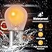 KPALAG Left or Right Rear Taillight Tail Light Lamp Socket Holder & 4*Bulbs & 1 * 6-Pin Wire Harness Compatible with MINI F55 F56 F57 1.5T/2.0T, Cooper S ONE JCW Replace#: 63217361305 61132359993